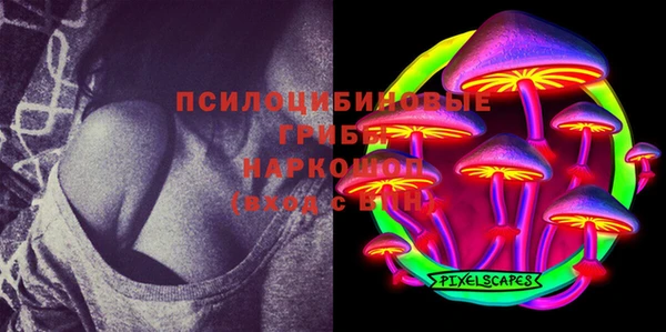 дживик Лабытнанги