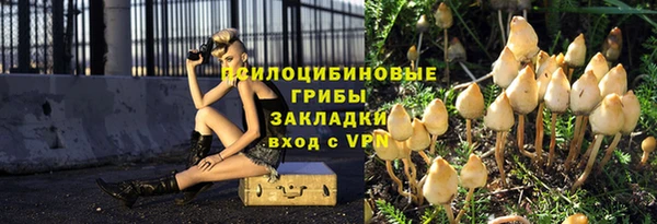 прущая мука Лагань