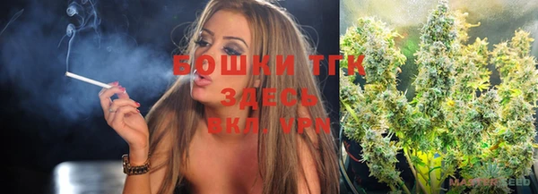 дживик Лабытнанги